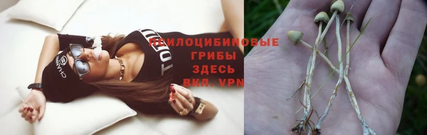 крисы Бугульма