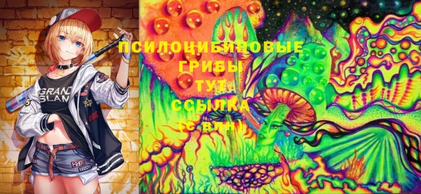прущая мука Верея