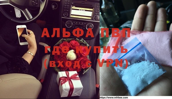 гидра Бородино